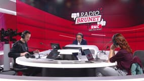Appels abusifs des pompiers: "J'ai trouvé un hérisson complètement immobile sur un trottoir"