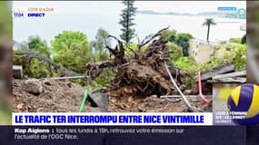 Intempéries: le trafic TER interrompu entre Nice et Vintimille