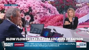 "Dupin Quotidien": savez-vous d'où viennent nos bouquets de fleurs?