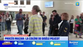 Procès Mazan : la colère de Gisèle Pelicot