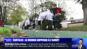 Surtaxe: pas de courses hippiques ce jeudi 7 novembre, la filière manifeste dans Paris 