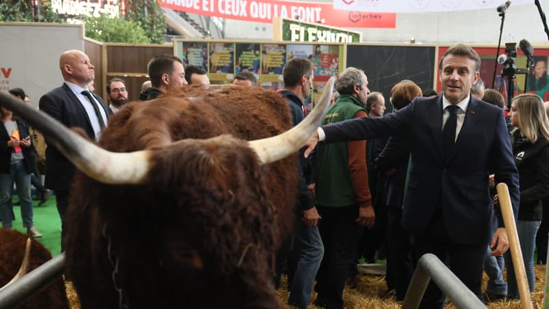 DIRECT. Salon de l'agriculture: Emmanuel Macron assure ne pas vouloir une "décroissance agricole"