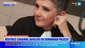 Procès des viols de Mazan: portrait de Béatrice Zavarro, l'avocate de Dominique Pélicot