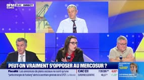 Les Experts : Agriculteurs, le Mercosur dans le viseur - 18/11