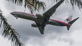 Un avion de la Malaysia Airlines s'apprête à atterrir à l'aéroport de Kuala Lumpur, le 27 août 2014.