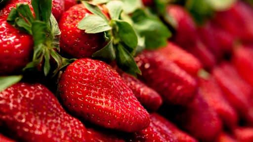 Les fraises françaises doivent redevenir les préférées des... Français.