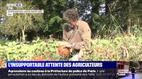 Lubrizol: les agriculteurs face à l'insupportable attente des résultats d'analyses