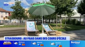 Strasbourg: des cours d'écoles végétalisées ouvertes tout l'été pour chercher la fraîcheur