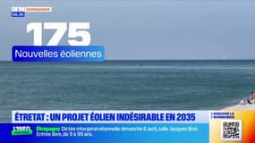 "Ça fait un peu désordre": un projet de 175 éoliennes agace à Étretat