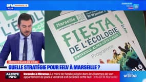 Municipales de 2026: quelle stratégie pour les écologistes marseillais?