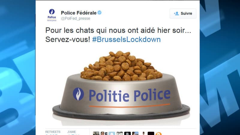 La police belge remercie les chats