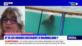 L'association "C'est assez" souhaite que les orques restent à Marineland