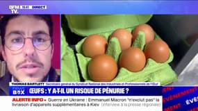 Y a-t-il un risque de pénurie d'œufs?