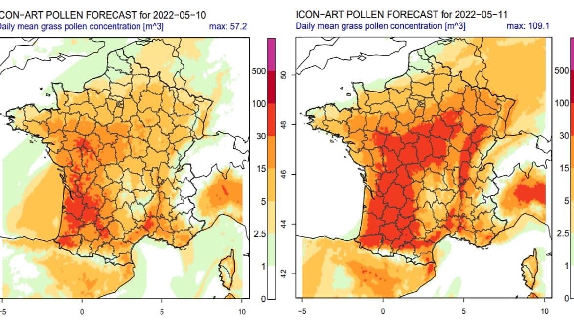 Les modélisations de la RNSA concernant les allergies aux graminées à partir du 10 mai. Les modélisations de la RNSA concernant les allergies aux graminées à partir du 10 mai.