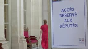 Interdiction des emplois familiaux: seuls 3 députés ont régularisé leur situation