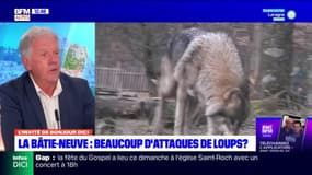 Attaques de loups:  pour Joël Bonnaffoux, maire de La Bâtie-Neuve, "il va falloir que les autorités réagissent"