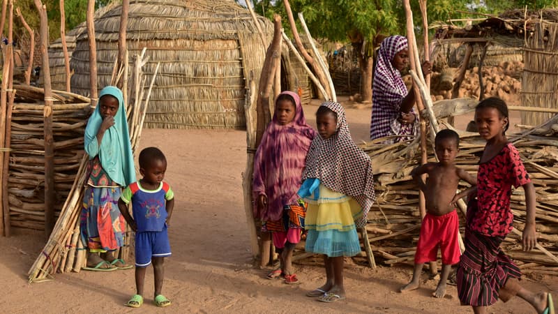 Des enfants au Niger, l'un des pays au plus fort taux de fécondité au monde. (photo d'illustration)