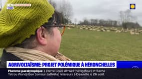 Seine-Maritime: un projet de panneaux photovoltaïques créé la discorde à Héronchelles
