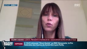Convention citoyenne pour le climat: un référendum pour créer le crime "d'écocide"
