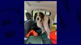 Gita, âgée de 13 ans, est "une vraie héroïne" a estimé le bureau du shérif du comté de Stevens.