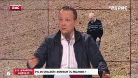 Pic de chaleur... Mehdi Ghezzar : "C'est excellent pour le business et mon bien-être personnel mais c'est très égoïste de ma part..."