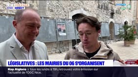 Alpes-Maritimes: les mairies s'affairent pour organiser les nouvelles élections législatives