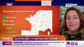 "Les plages les plus problématiques sont le sud-est, le nord et le nord-ouest breton" : Maëlle Turriès décrypte la carte des eaux polluées sur les littoraux