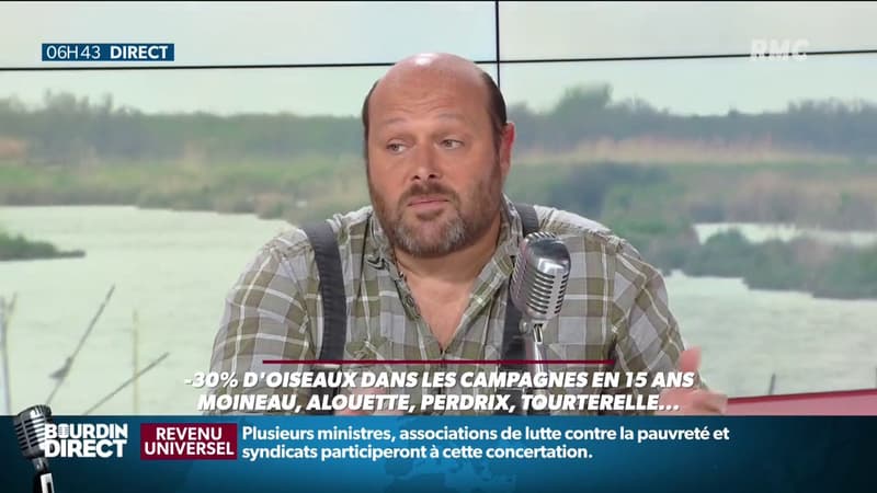 Grégoire Loïs sur le plateau de RMC le 03/06/2019