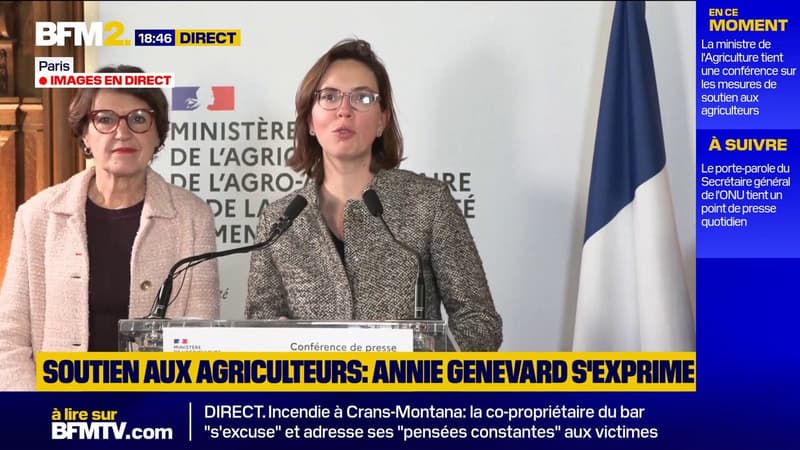 Motions de censure: "Pas de gouvernement, pas de solution pour les agriculteurs", prévient Amélie de Montchalin