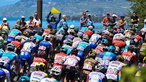 Le peloton du Tour de France