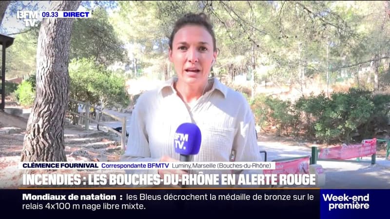 Zaradi visokega tveganja požarov v Bouches-du-Rhône razglašena rdeča stopnja pripravljenosti