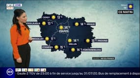 Météo en Île-de-France: un dimanche ensoleillé sur l'ensemble de la région, un maximum de 25°C attendu cet après-midi à Paris