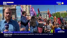 Marseille: 400 personnes, dont Rima Hassan, présents dimanche en soutien à la population gazaouie