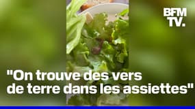 Vers de terre dans les assiettes, bouts de verre dans les brownies, couverts sales... des parents dénoncent l'insalubrité d'une cantine 