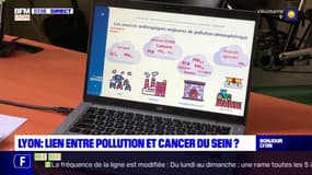 Un lien entre pollution et cancer du sein soupçonné par des chercheurs lyonnais