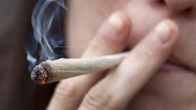 Les buralistes du Vaucluse sont favorables à l'ouverture de la vente du cannabis dans leurs établissements.
