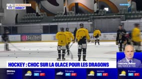 Hockey: les Dragons de Rouen reçoivent les Rapaces de Gap