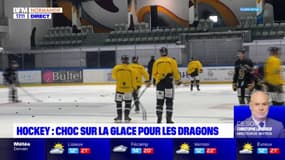 Hockey: les Dragons de Rouen reçoivent les Rapaces de Gap