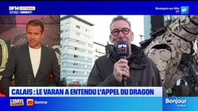 Bonjour Littoral du vendredi 7 novembre 2025