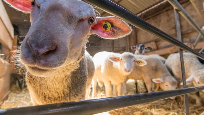 Photo d'illustration. 