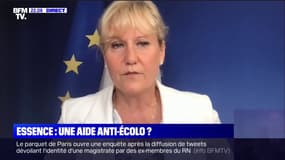 Nadine Morano: "Notre filière nucléaire a été laminée par François Hollande et Emmanuel Macron"