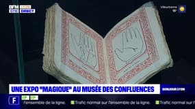 Lyon: une exposition "magique" au musée des Confluences