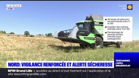 Nord: vigilance renforcée et alerte face à la sécheresse dans le département