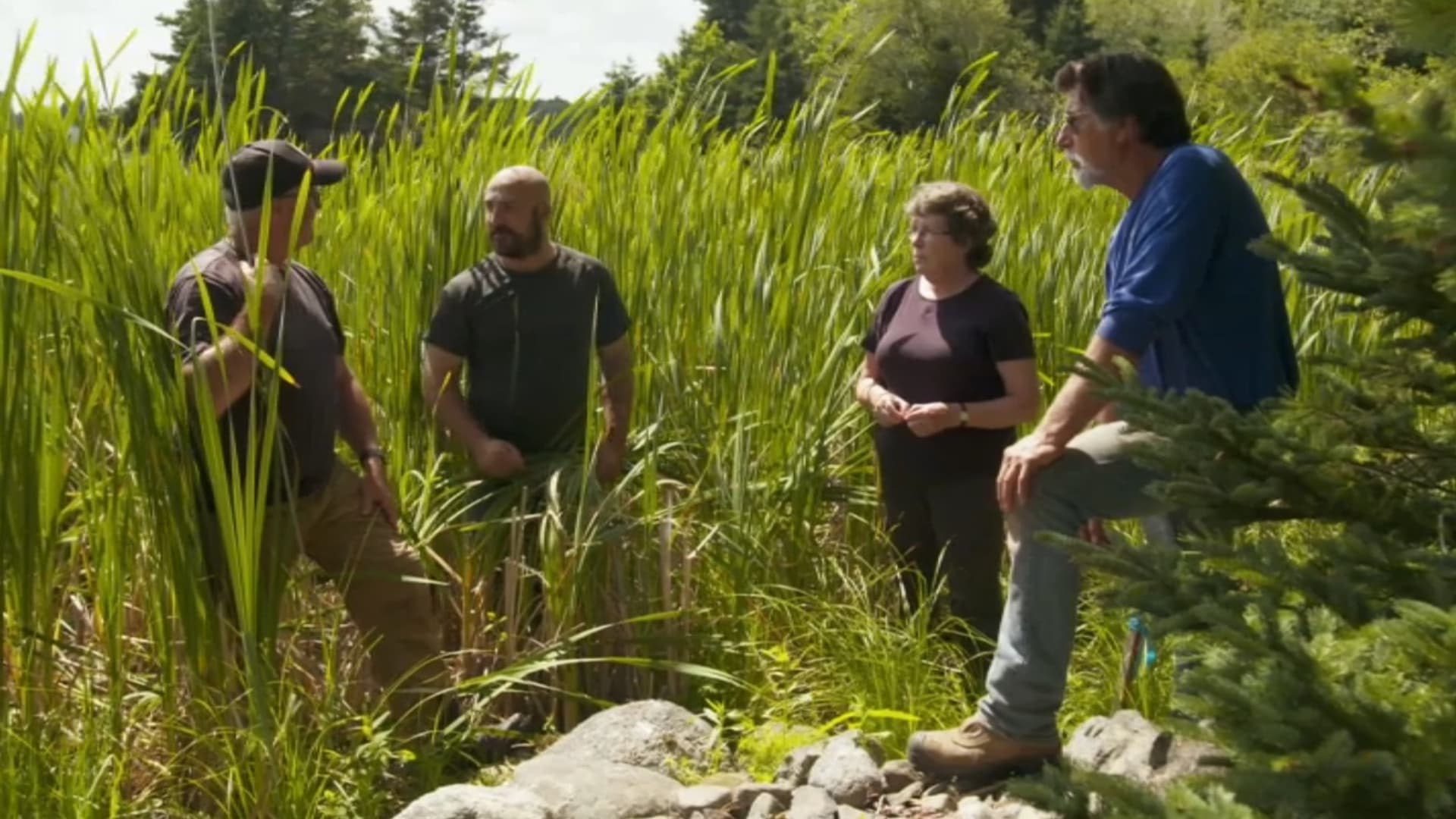 LE MYSTÈRE D'OAK ISLAND : LA COURSE AU TRÉSOR