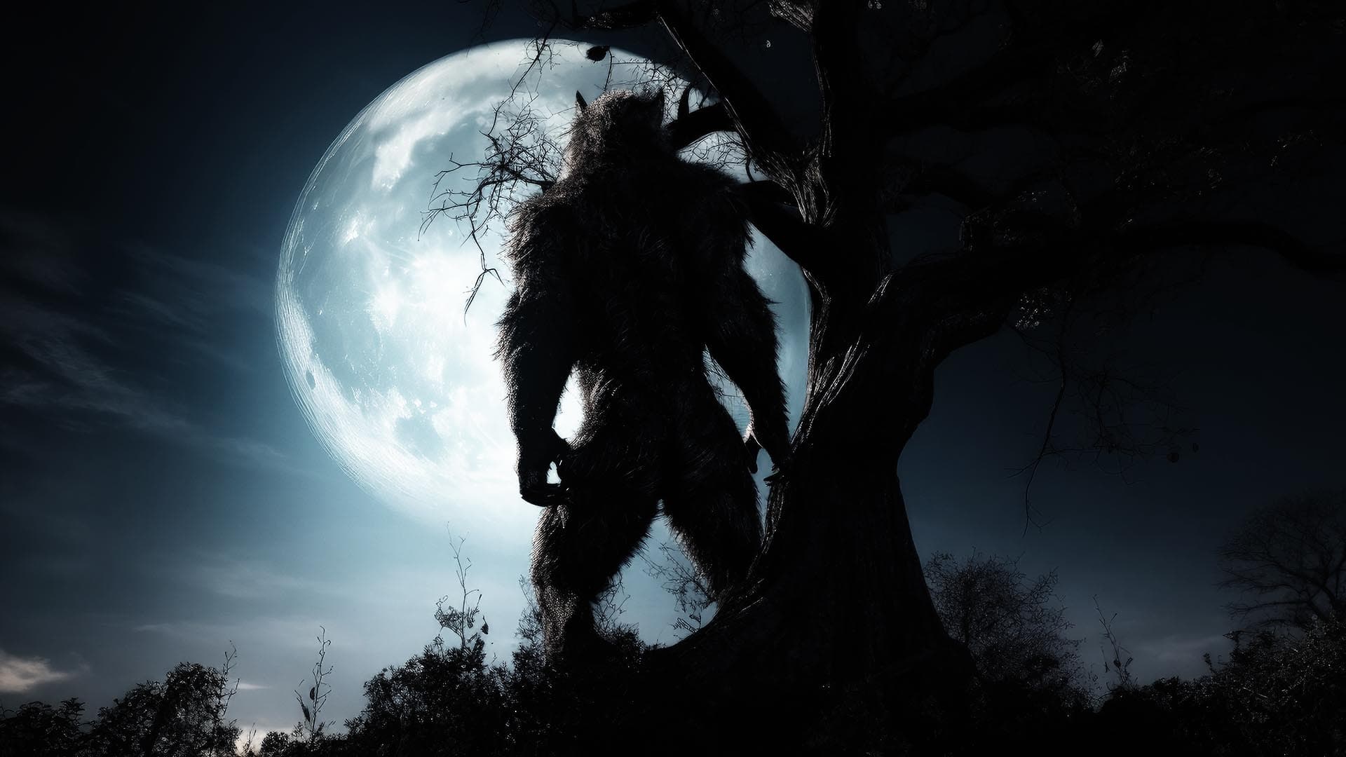 Mystères inexplorés : Le Rougarou