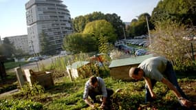 Des apiculteurs s'occupent de ruches installées dans un espace vert à Besançon (illustration)