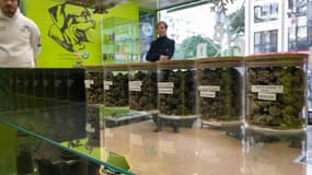 La vente de fleurs et de feuilles brutes de CBD est désormais interdite. 