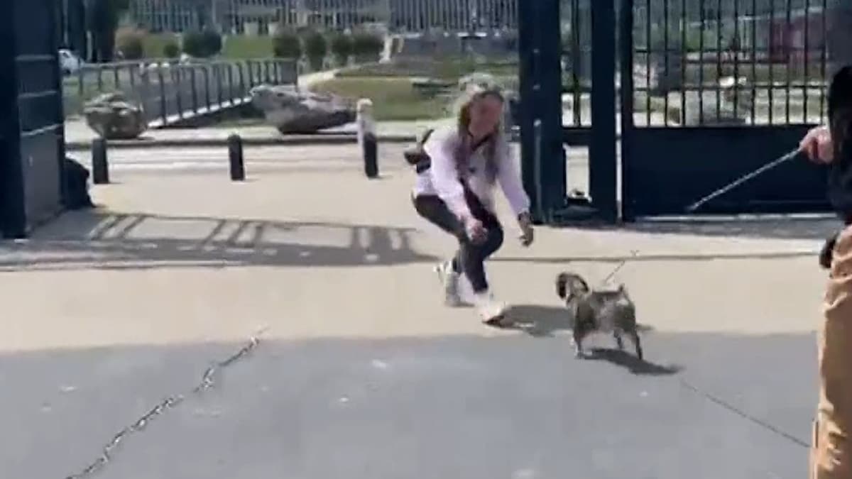placeholder video