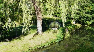 La Belle à Vieux-Mareuil
