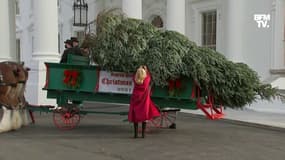 Juste avant Thanksgiving, le sapin de Noël arrive à la Maison Blanche